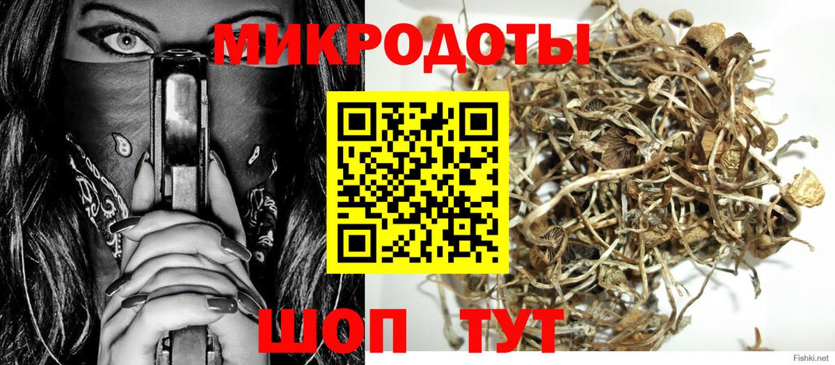Псилоцибиновые грибы прущие грибы Сухой Лог
