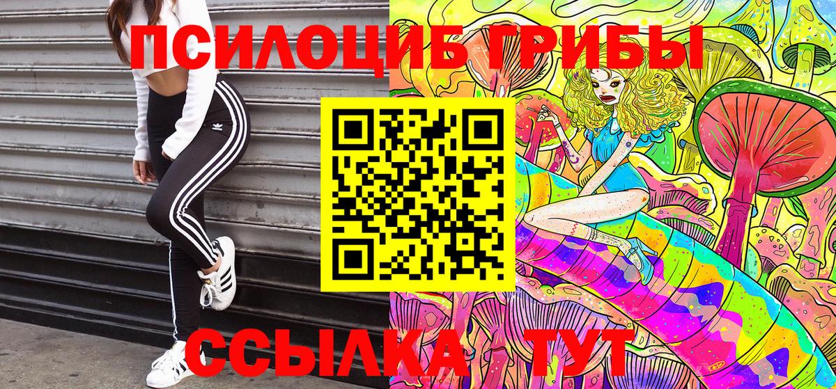 Псилоцибиновые грибы Magic Shrooms  Вход с VPN  Галлюциногенные грибы мухоморы  наркошоп  Сухой Лог 